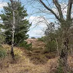 20163-samso-maarup-skov-23 Ferienhaus Marup